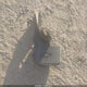 1GCVKNEC1HZ305336 2017 Chevrolet Silverado 1500 Ls auction photo thumbnail 12