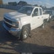 1GCVKNEC1HZ305336 2017 Chevrolet Silverado 1500 Ls auction photo thumbnail 2