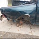 1D7RV1CT3BS527399 2011 Ram Ram 1500 Slt auction photo thumbnail 6