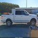1FTFW1EV7AFD23219 2010 Ford F-150 Fx4/Harley-Davidson/King Ranch/Lariat/Platinum/Xl/Xlt auction photo thumbnail 13