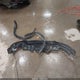 3CZRU6H76GM735602 2016 Honda Hr-V Ex-L auction photo thumbnail 12