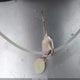4T1BF18B6WU243196 1998 Toyota Avalon Xl auction photo thumbnail 11