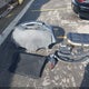 5YJ3E1EA7LF799139 2020 Tesla Model 3 Standard Range Plus Rear-Wheel Drive/Standard Range Rear-Wheel Drive auction photo thumbnail 12
