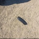 1GNDS13S532321790 2003 Chevrolet Trailblazer Ls auction photo thumbnail 11