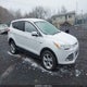 1FMCU0GX7DUC66761 2013 Ford Escape Se auction photo thumbnail 1