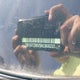 5N1AT2MV5KC800237 2019 Nissan Rogue S auction photo thumbnail 9