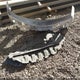 2GTEC19TX41220045 2004 GMC Sierra 1500 Sle auction photo thumbnail 12