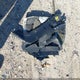 2HGFC2F87LH554471 2020 Honda Civic Sport auction photo thumbnail 12