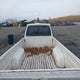JM2UF2139J0302436 1988 Mazda B2200 Long Bed auction photo thumbnail 8