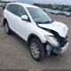JM3TB3MV7A0238595 2010 Mazda Cx-9 Touring auction photo thumbnail 1