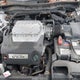 1HGCP3F86AA029782 2010 Honda Accord 3.5 Ex-L auction photo thumbnail 10