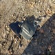 1N4AL2AP0CC195349 2012 Nissan Altima 2.5 S auction photo thumbnail 12