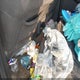 5N1AR1NNXBC625636 2011 Nissan Pathfinder Sv auction photo thumbnail 11
