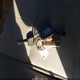 3GCUKREC1HG464781 2017 Chevrolet Silverado 1500 2Lt auction photo thumbnail 11