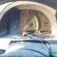 5FNRL38266B089489 2006 Honda Odyssey Lx auction photo thumbnail 7