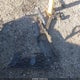 JN8AT3BA9MW006714 2021 Nissan Rogue Sv Fwd auction photo thumbnail 12