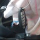 3N1AB8CV0PY280123 2023 Nissan Sentra Sv Xtronic Cvt auction photo thumbnail 11