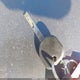 KL4CJASB6FB082449 2015 Buick Encore auction photo thumbnail 11