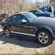 1ZVHT80N695139082 2009 Ford Mustang V6/V6 Premium auction photo thumbnail 14