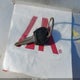 KL1TD566X8B044461 2008 Chevrolet Aveo Ls auction photo thumbnail 11