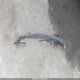 1G11C5SL4FF354988 2015 Chevrolet Malibu 1Lt auction photo thumbnail 12