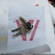 1FTEF14N4KLB06128 1989 Ford F150 auction photo thumbnail 11