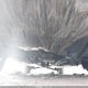 JF2SJAKC3GH449561 2016 Subaru Forester 2.5I Limited auction photo thumbnail 6