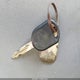 1FTRF12295NB70958 2005 Ford F-150 Stx/Xl/Xlt auction photo thumbnail 11