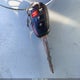 4T1BF1FK1DU255160 2013 Toyota Camry Se auction photo thumbnail 11