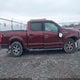 1FTEW1EP7GFB18408 2016 Ford F-150 Xlt auction photo thumbnail 14