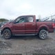 1FTEW1EP7GFB18408 2016 Ford F-150 Xlt auction photo thumbnail 15