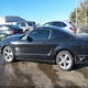 1ZVHT82H295132864 2009 Ford Mustang Gt/Gt Premium auction photo thumbnail 14