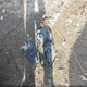 1HGCP26739A008188 2009 Honda Accord 2.4 Ex auction photo thumbnail 12