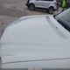 WDBUF87X08B351586 2008 Mercedes-Benz E 350 4Matic auction photo thumbnail 14