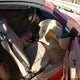 1FAFP4443WF238785 1998 Ford Mustang auction photo thumbnail 5