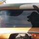 3VVLR7RMXSM055154 2025 Volkswagen Tiguan 2.0T Sel R-Line auction photo thumbnail 7