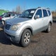 KNDJJ741995035813 2009 Kia Borrego Lx auction photo thumbnail 2