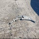 4T1BF1FKXHU698140 2017 Toyota Camry Se auction photo thumbnail 12