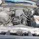 5TENX22N57Z386964 2007 Toyota Tacoma auction photo thumbnail 10
