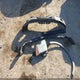 1FTFW1EV0AFC49061 2010 Ford F-150 Fx4/Harley-Davidson/King Ranch/Lariat/Platinum/Xl/Xlt auction photo thumbnail 12
