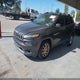 1C4PJLDBXGW347593 2016 Jeep Cherokee Limited auction photo thumbnail 2