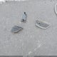 4T1FA38P67U115744 2007 Toyota Camry Solara Se auction photo thumbnail 12