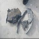 1G1ZD5ST7SF125344 2025 Chevrolet Malibu Fwd 1Lt auction photo thumbnail 12
