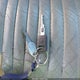 1G4CW53L1P1627112 1993 Buick Park Avenue auction photo thumbnail 11
