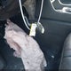 5FNYG1H9XSB071136 2025 Honda Pilot Black auction photo thumbnail 18