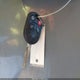 3FAHP0HA2CR407159 2012 Ford Fusion Se auction photo thumbnail 11