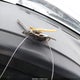 1FTJW36G9VEC05352 1997 Ford F-350 Xl auction photo thumbnail 10