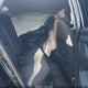 1HGCY1F24PA008256 2023 Honda Accord Lx auction photo thumbnail 8