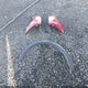 1FM5K8B80EGB01941 2014 Ford Explorer auction photo thumbnail 12