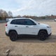 1C4PJLABXHW527307 2017 Jeep Cherokee Altitude Fwd auction photo thumbnail 13